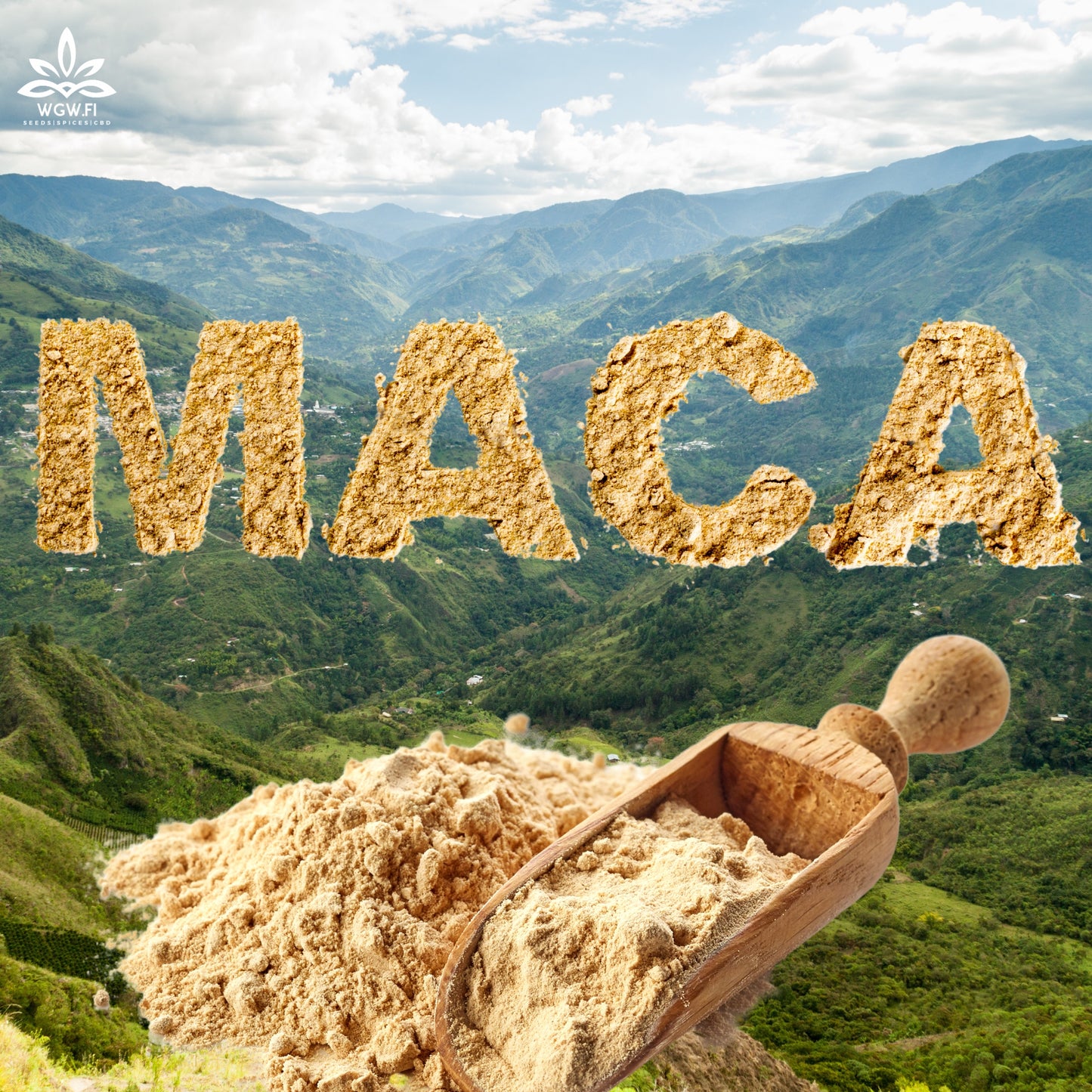 MACA-JAUHE
