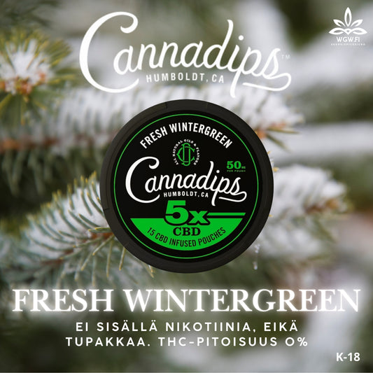 FRESH WINTERGREEN (minttu), 50mg